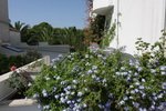 makarska luksuzni apartmani privatni smještaj